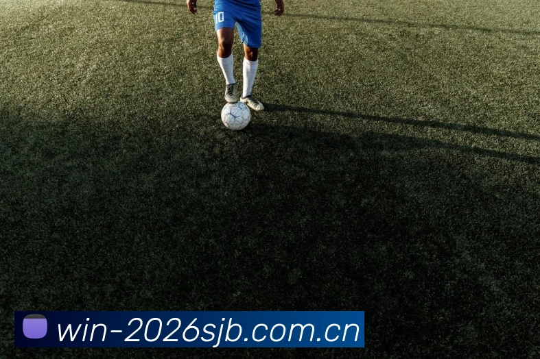 FIFA 官方数据授权认证